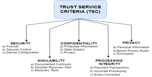 TSC Examination (Trust Service Criteria)